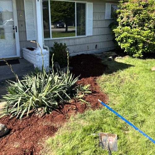Restored landscaping after sewer work