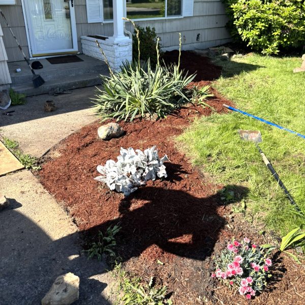 Completed residential sewer replacement